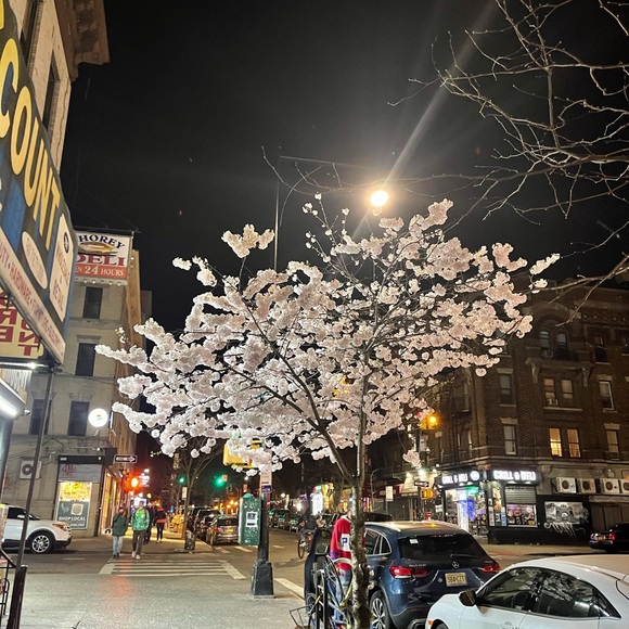 Meet your Posher, Keston - Picture 1 of 1